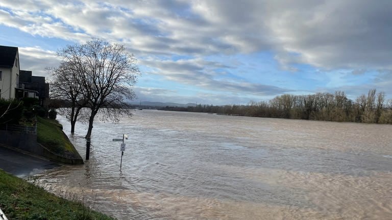 Hochwasser am Rhein in Urmitz (Foto: SWR)