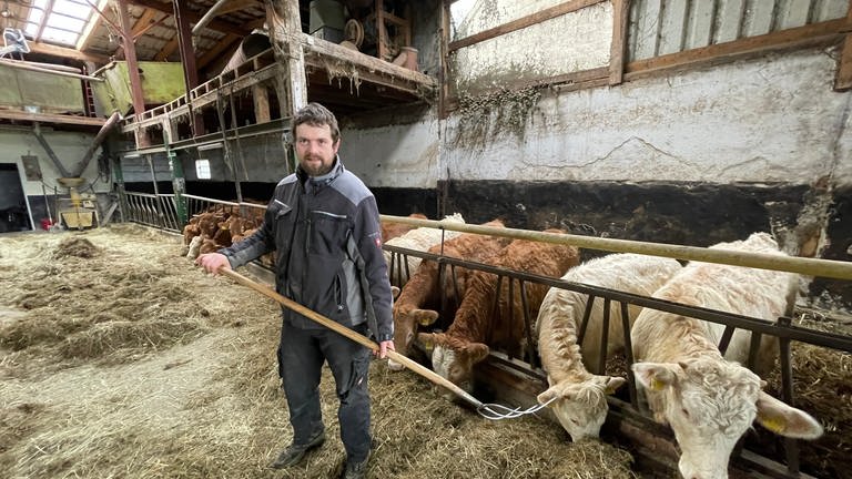 Biobauer Rene Bonn steht in seinem Kuhstall mit seiner Mistgabel in der Hand und verteilt Stroh an die Kühe (Foto: SWR)