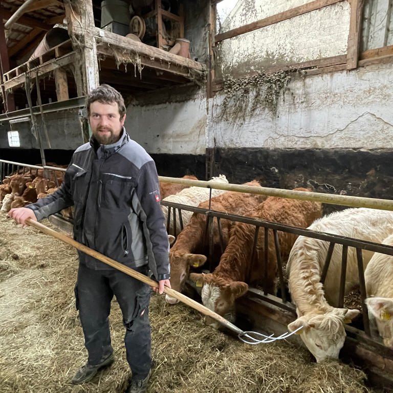 Biobauer Rene Bonn steht in seinem Kuhstall mit seiner Mistgabel in der Hand und verteilt Stroh an die Kühe