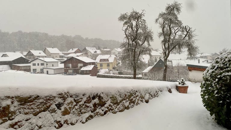 Der verschneite Westerwald hier in Horbach. (Foto: SWR)