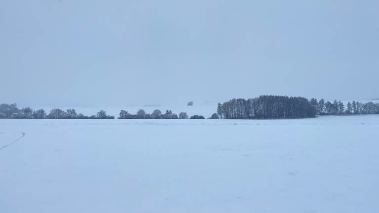 Auf dem Maifeld sind die Felder mit Schnee bedeckt. (Foto: SWR)