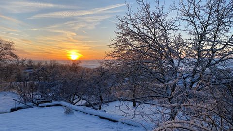 Sonnenuntergang über einer verschneiten Obstwiese in Münstermaifeld (Foto: SWR)