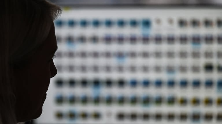 Eine Frau schaut auf einen verpixelten Computer-Bildschirm