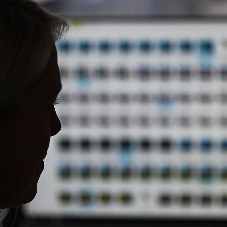 Eine Frau schaut auf einen verpixelten Computer-Bildschirm