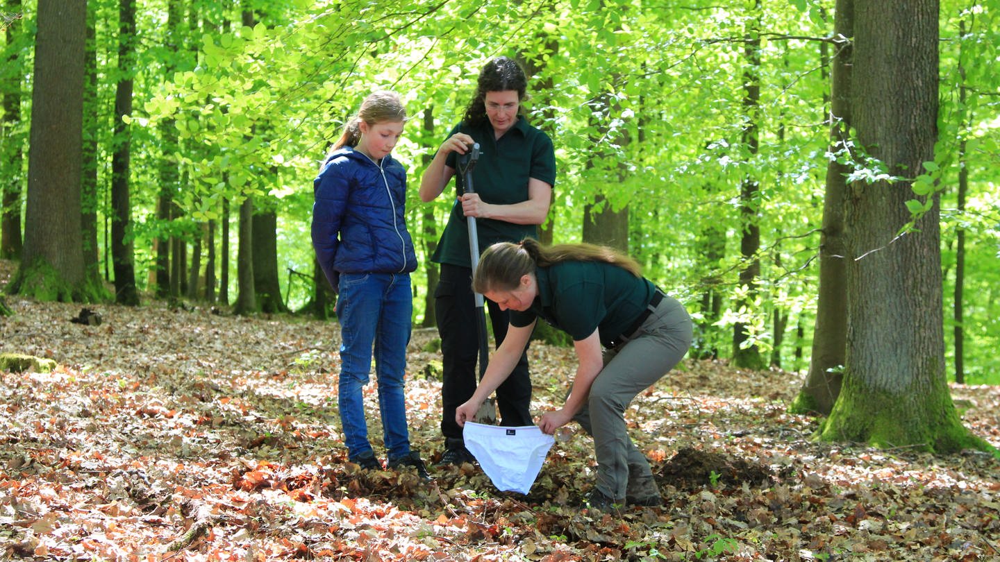 Zwei Frauen und ein Mädchen vergraben eine weiße Unterhose im Wald (Foto: Pressestelle, Waldbildungszentrum Rheinland-Pfalz)