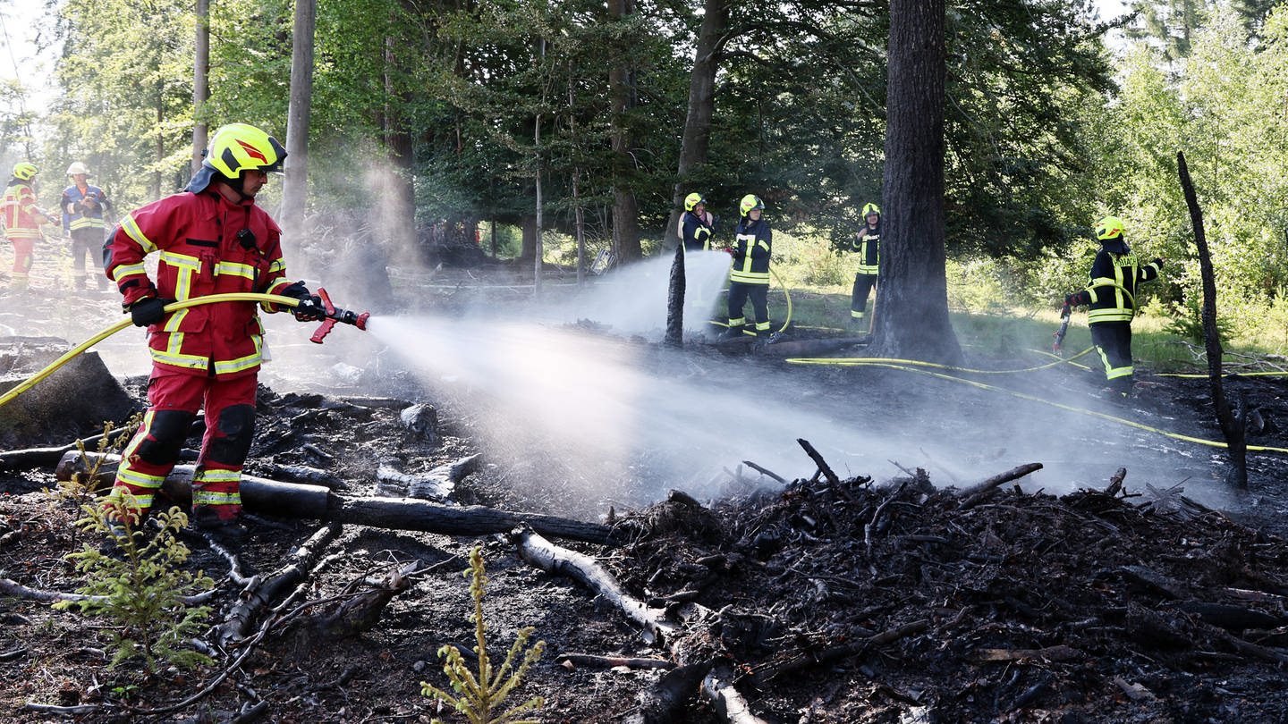 Feuerwehrleute löschen einen Waldbrand mit Wasser - der Rhein-Lahn-Kreis probt die Waldbrand-Bekämpfung am Wochenende bei einer Großübung. (Foto: dpa Bildfunk, Picture Alliance)