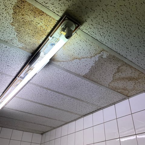 Eine feuchte Decke im Georg-Kerschensteiner-Berufsbildungszentrum (BBZ) in Ludwigshafen. 