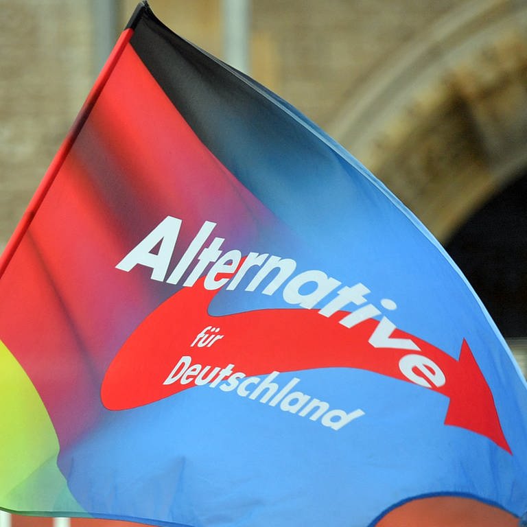 AfD-Fahne (Foto: dpa Bildfunk, Hendrik Schmidt)