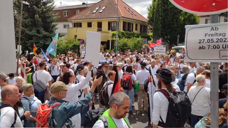 Demonstration Neustadt Demokratiefest (Foto: Twitter/Doxograf)