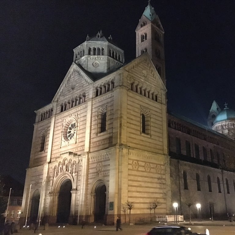 Der Speyerer Dom bei Nacht (Foto: SWR)