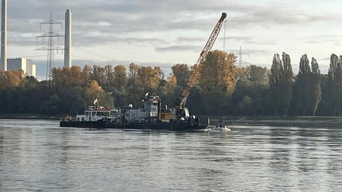 Ein Schwimmgreifer ist auf dem Rhein bei Hagenbach im Einsatz, um die Fahrrinne wieder freizubaggern. Zuvor hatten sich dort zwei Schiffe festgefahren. (Foto: SWR)