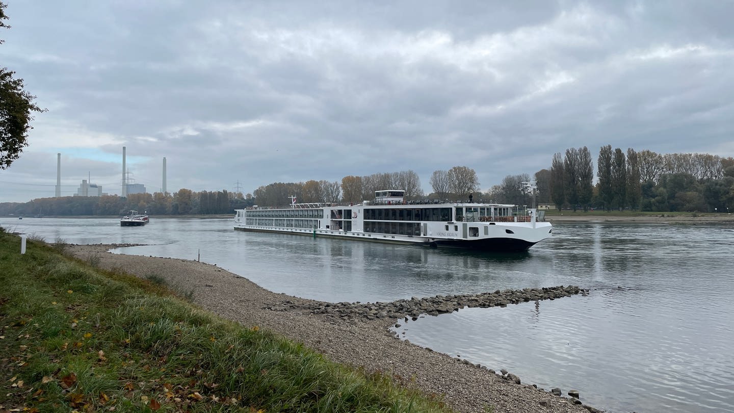 Festgefahrene Schiffe auf dem Rhein zwischen Hagenbach und Karlsruhe. (Foto: SWR)