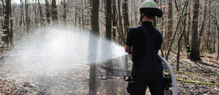 Die kleinen Brände im Wald bei Böhl-Iggelheim wurden schnell gelöscht (Symbolfoto) (Foto: IMAGO, Deutzmann)