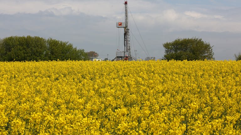 Erdölsuche auf Feldern bei Otterstadt Symbolbild (Foto: picture-alliance / Reportdienste, Picture Alliance)