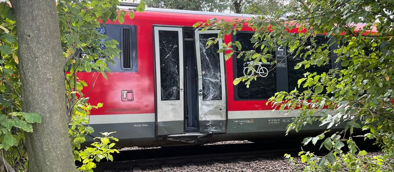 Verkehrsunfall bei Kandel: Kleintransporter und Zug stoßen zusammen - Zugstrecke gesperrt (Foto: SWR)
