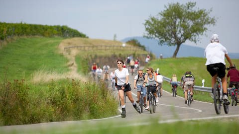 Radfahrerinnen und Radfahrer fahren glücklich auf der Deutschen Weinstraße (Foto: Dieth & Schröder)