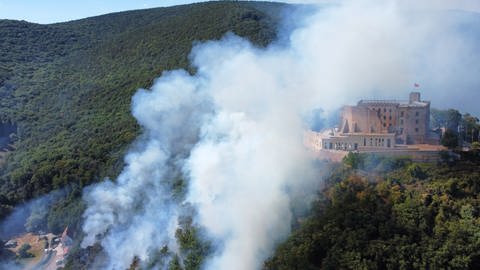 Rauch steigt aus einem Wald beim Hambacher Schloss auf, wo ein größeres Stück Wald gebrannt hat. (Foto: dpa Bildfunk, picture alliance/dpa | Fynn Trenkner)