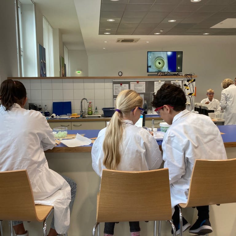 Kinder machen Experimente in einem Labor der BASF. (Foto: SWR)