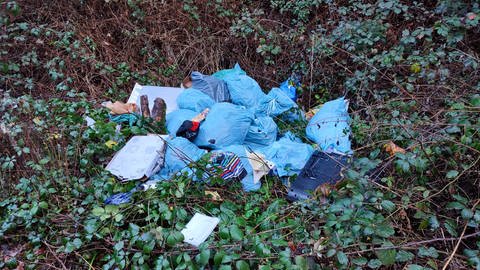 Illegaler Müll im Wald (Foto: Forstamt Haardt)