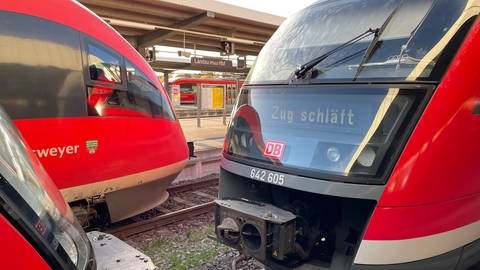 Im Bahnhof in Landau stehen die Züge still. Auf der Anzeige steht "Zug schläft". (Foto: SWR)