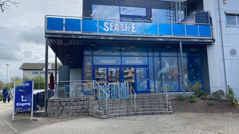 Sea Life Speyer mit geschlossenen Türen (Foto: SWR)