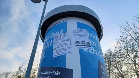 Plakate mit Beleidigungen in Landau (Foto: SWR)