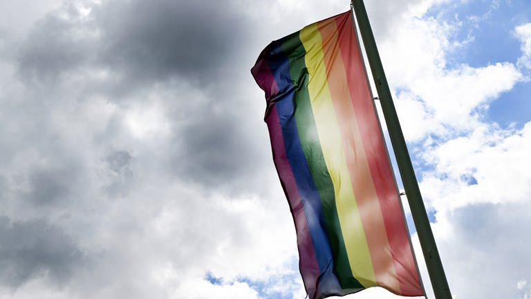 Regenbogenflagge (Foto: dpa Bildfunk, picture alliance/dpa | Federico Gambarini)