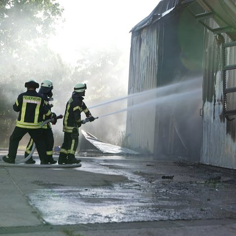 Feuerwehreinsatz bei Lagerhallenbrand in Kandel (Foto: SWR)