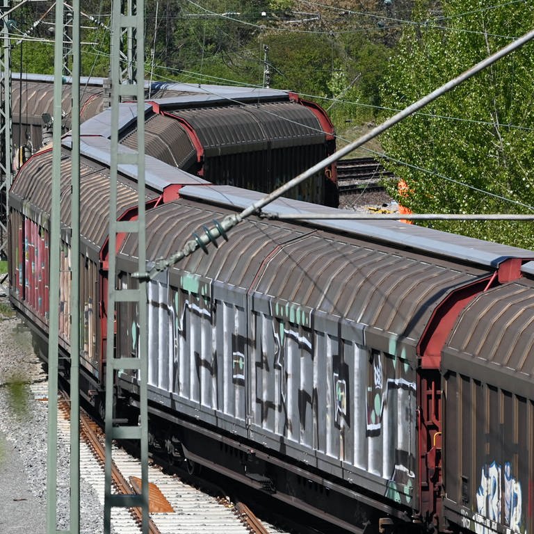 Güterzug in Wörth entgleist (Symbolbild) (Foto: dpa Bildfunk, picture alliance/dpa | Uli Deck)
