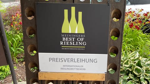 Wettbewerb „Best of Riesling“ in Neustadt  (Foto: SWR)