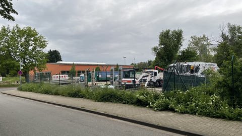 Der geplante Standort für die neue Asylbewerberunterkunft in Speyer: Hier soll ab Herbst ein Wohncontainerdorf für Geflüchtete entstehen. (Foto: SWR)
