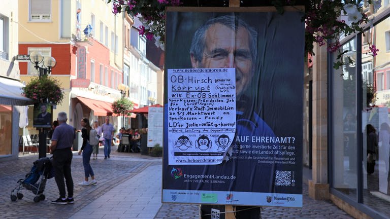 Überklebte Plakate in Landau (Foto: SWR)