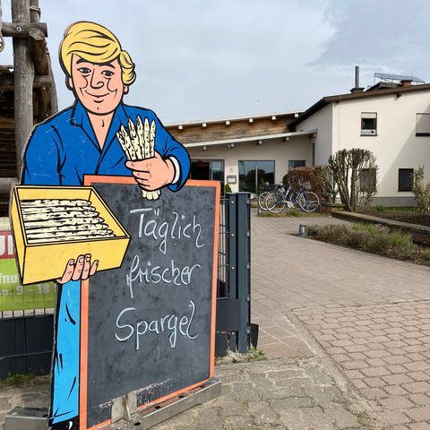In Kandel auf dem Hofmarkt Zapf hat die Spargel-Ernte begonnen. Die Nachfrage jetzt kurz vor Ostern ist groß. (Foto: SWR, Martin Gärtner)