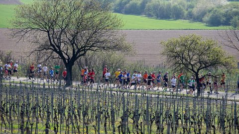 Marathon Deutsche Weinstraße (Foto: Kreisverwaltung Bad Dürkheim)