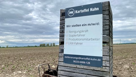 Kartoffel Kuhn aus Frankenthal sucht Personal (Foto: SWR)