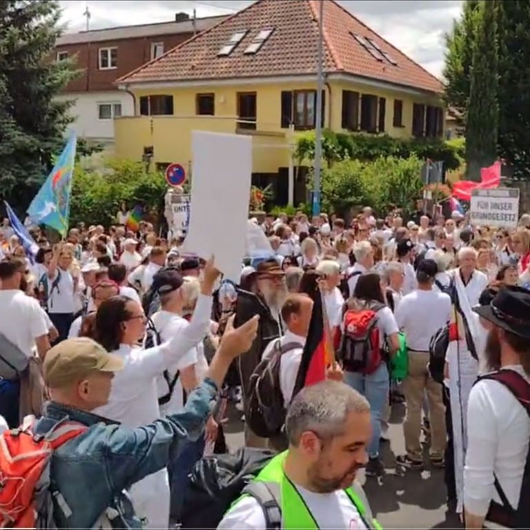 Demonstration Neustadt Demokratiefest (Foto: Twitter/Doxograf)