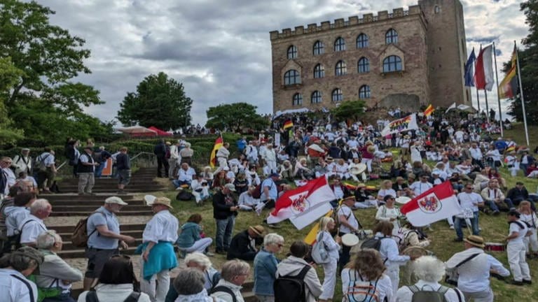Rund 3000 Menschen nutzen Ende Mai 2022 das Demokratiefest in NeustadtWeinstraße für ihren Protest (Foto: Bernhard Kliewer,  aus Zur-Sache RP)