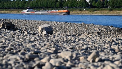 Schifffahrt auf dem Rhein in der Pfalz muss voraussichtlich eingestellt werden - Schiff auf dem Rhein und freiliegende Steine