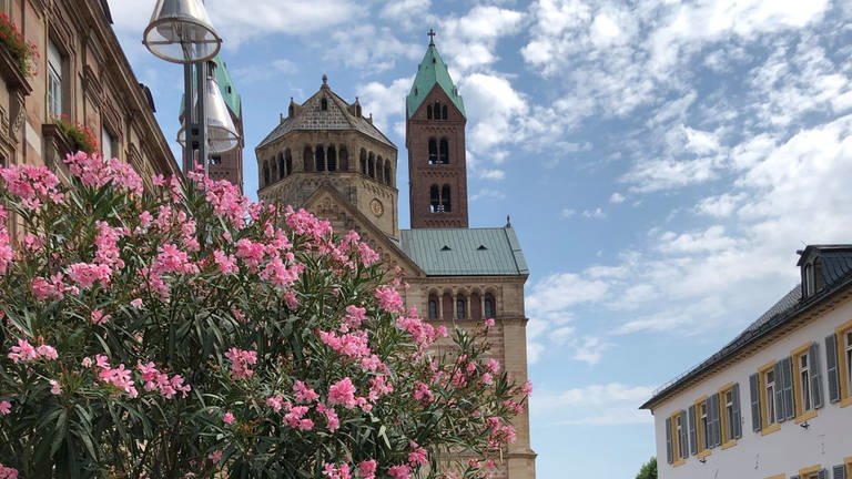 Heiß und begrünt wie in Italien: Die Innenstadt von Speyer (Foto: Stadt Speyer)