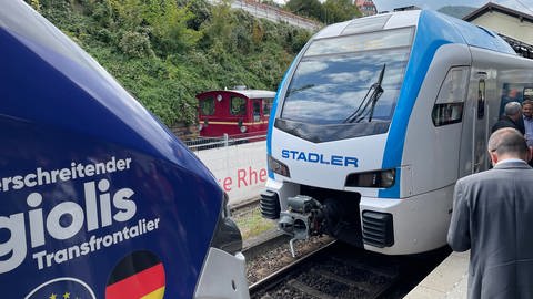 Funktioniert mit Batterie und Oberleitung - der Hybridzug (Foto: SWR, Neustadt Zug )