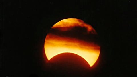 In Deidesheim kann man am Dienstag die partielle Sonnenfinsternis beobachten. Sie wird aufs Handy übertragen.  (Foto: Michael Geissel)