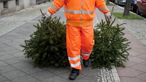 Weihnachtsbäume entsorgen (Foto: dpa Bildfunk, Picture Alliance)