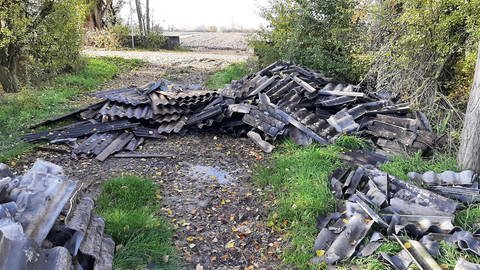Illegale Müllablagerung am Flomersheimer Schaflackengraben durch asbesthaltige Wellfaserzementplatten. (Foto: Pressestelle Stadtverwaltung Frankenthal (Pfalz))