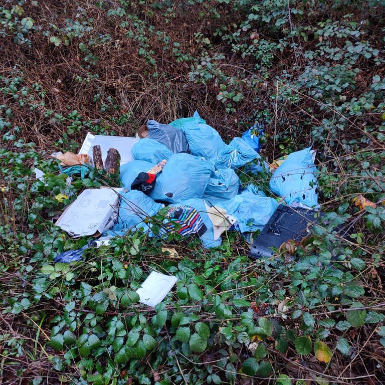 Illegaler Müll im Wald (Foto: Forstamt Haardt)