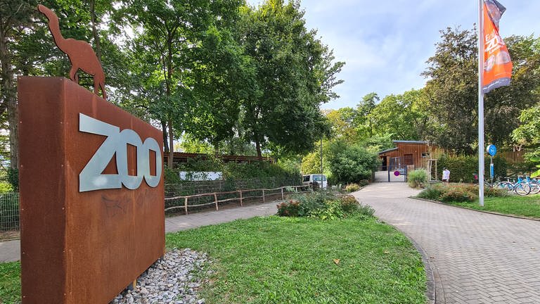 Der Zoo in Landau