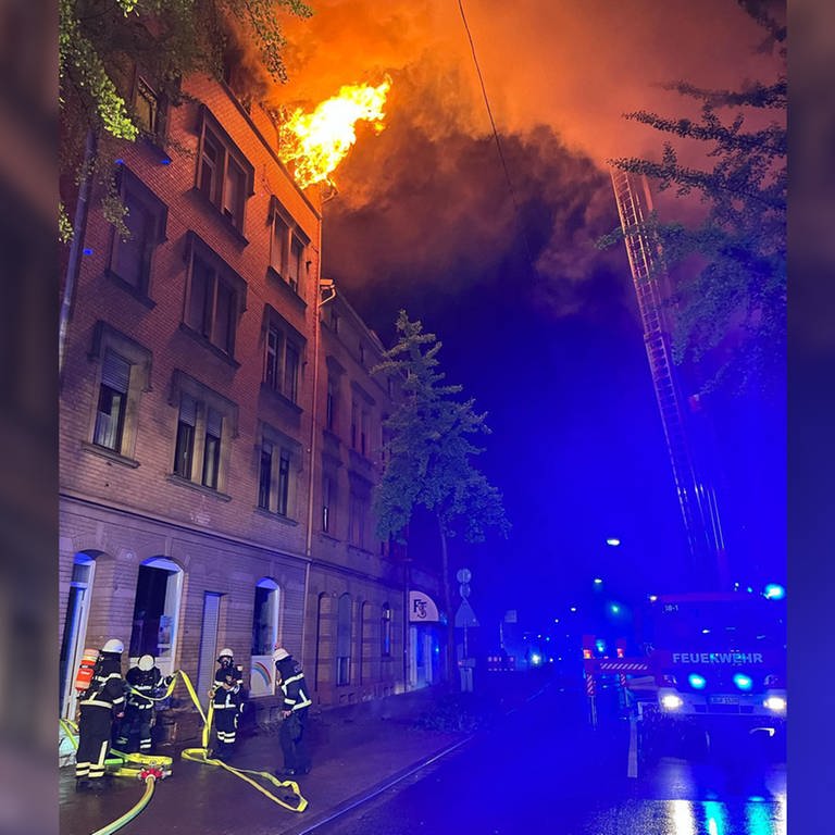 Brand in Wohnhaus in Landau (Foto: Freiwillige Feuerwehr Landau)