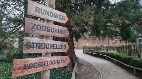 Wegweiser im Zoo Landau (Foto: SWR)