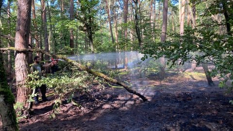 Ein Feuerwehrmann bewässert verbrannten Waldboden (Foto: Boris Lindner)