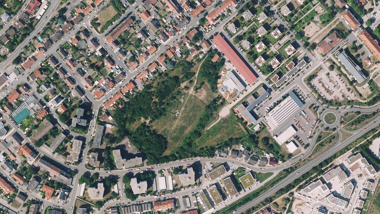 Um diesen grünen Fleck geht es: Der ehemalige Sportplatz Normand in Speyer soll bebaut werden - und die Bürger können mitentscheiden wie intensiv (Foto: Andere Quelle)
