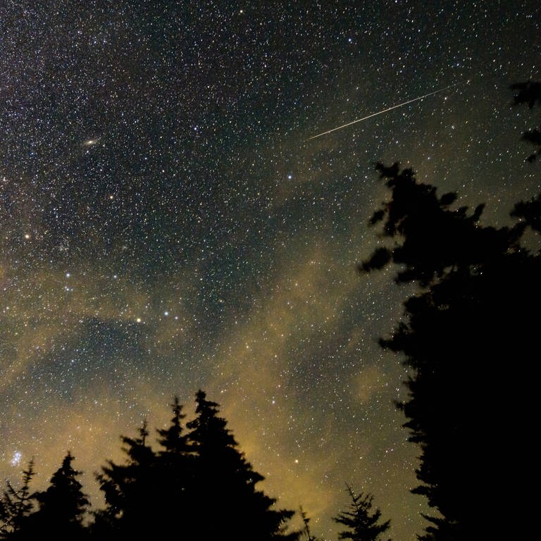 Tannenwald und darüber ein Nachthimmel mit einer Sternschnuppe, ausgelöst durch die Perseiden 2021 (Foto: IMAGO, UPI Photo)